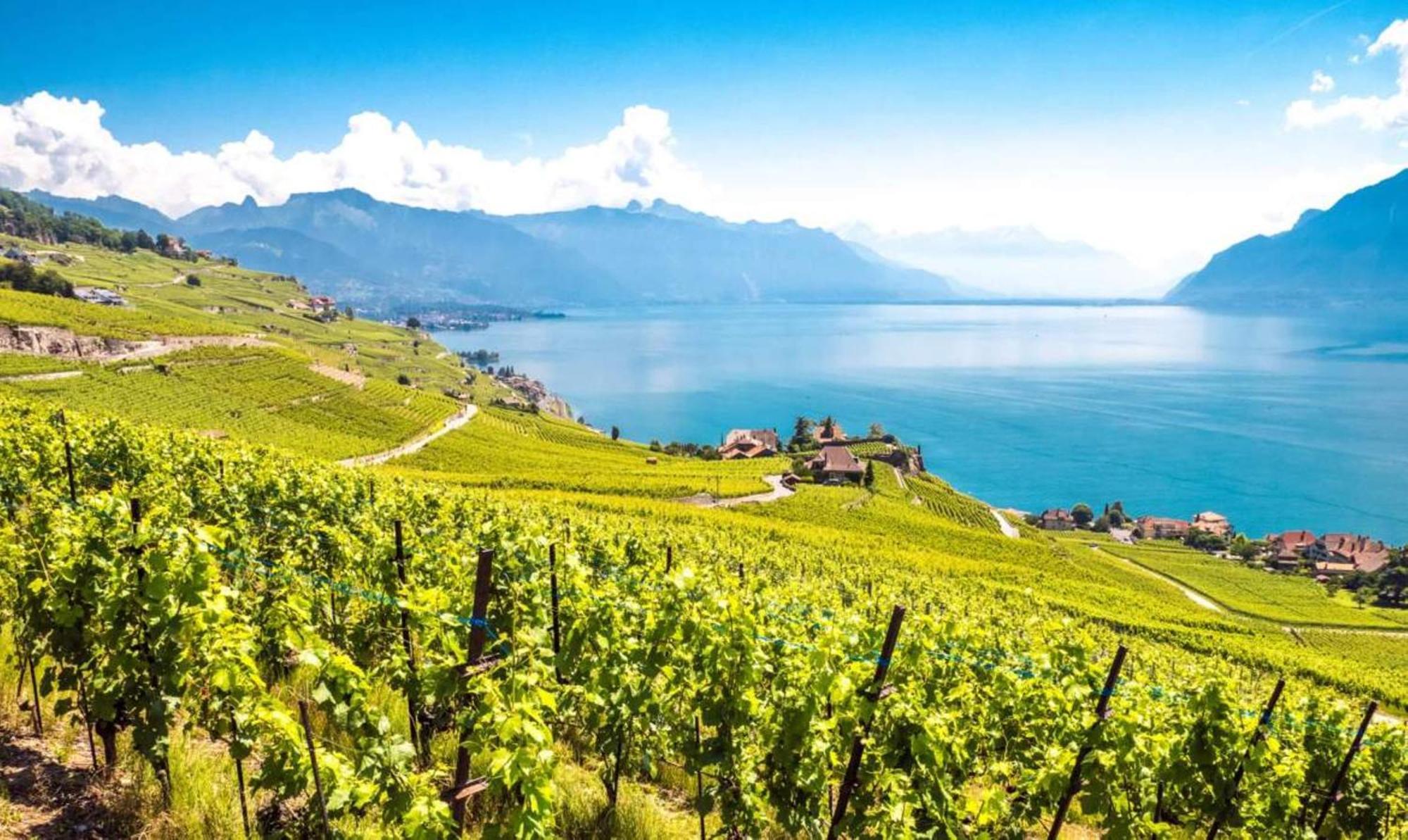 Chatonneyre Hotel & Restaurant Vevey Exterior foto